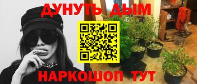 спиды Гатчина