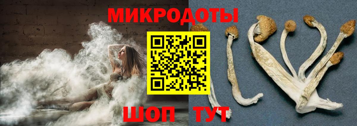 Псилоцибиновые грибы ЛСД Волжский
